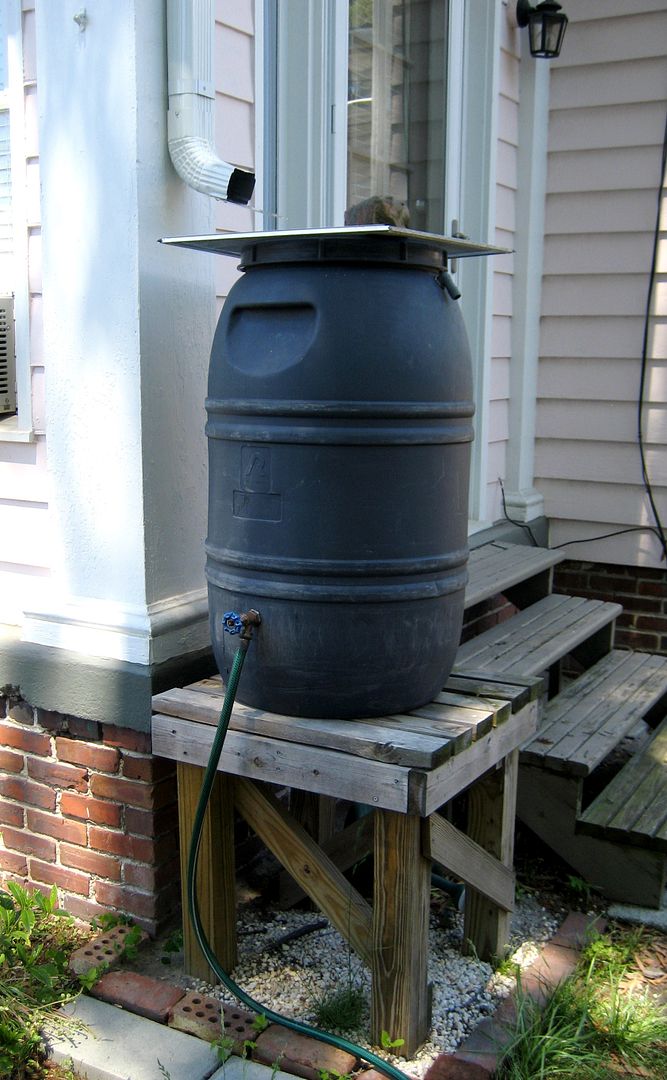 The Top 10 Most Important Things I Learned about Harvesting Rainwater